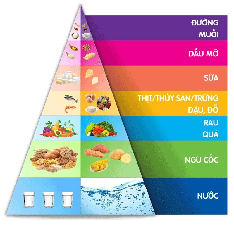 KH lựa chọn nhà cung ứng thực phẩm năm học 2025-2026