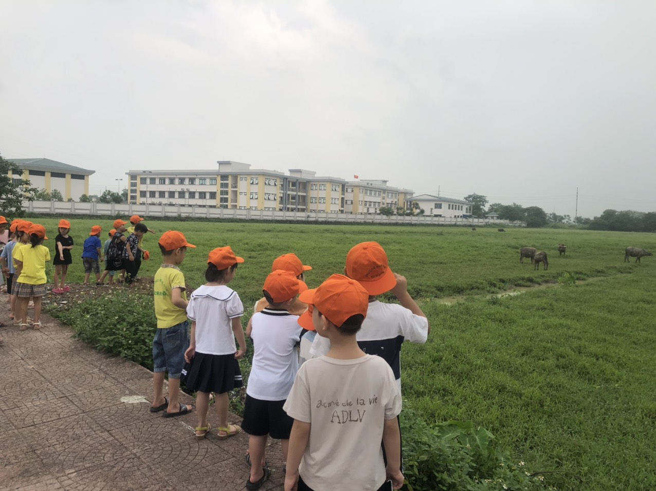 z5419880244049 50872a564d6855eeccb781b17781bb68