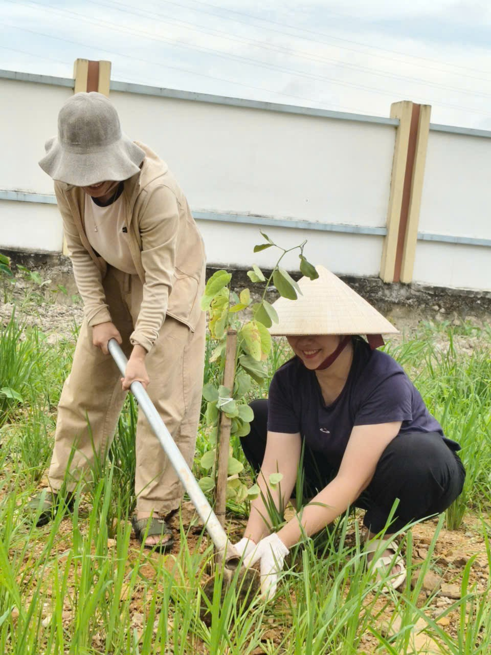 "Hoa ban trắng, những đóa hoa tinh khôi, như là biểu tượng của sự thuần khiết và vẻ đẹp dịu dàng".